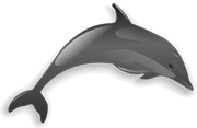 Dolphin Image May Not Display On This Browser If You Are Getting This Text
